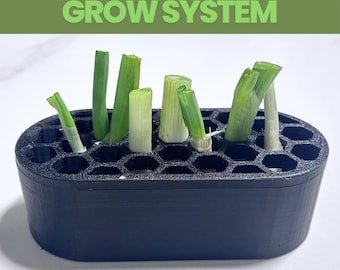 DIY Green Onion Grow System - Sustainable Home Gardening