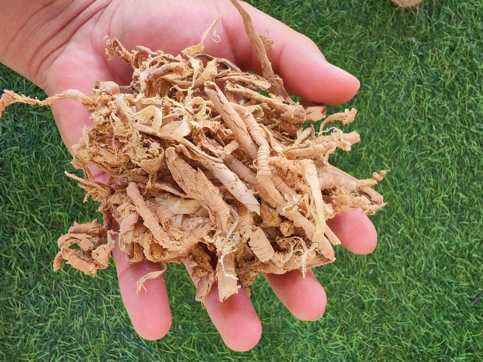 Iboga root bark - Etsy 日本