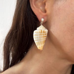 May include: Seashell earrings. Each earring showcases a natural, cream-coloured conch shell with brown and yellow markings. The shells are suspended from silver-coloured metal hooks, creating a unique and beach-themed accessory.