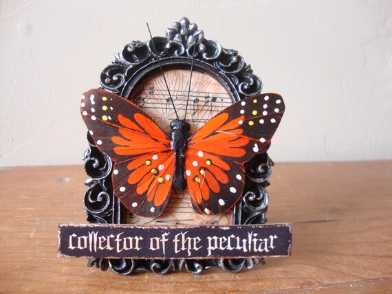 Gothic Halloween Decor, Framed Butterfly, Specimen Collector