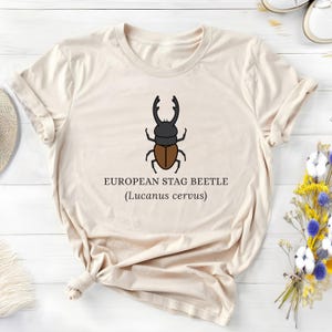 May include: A beige t-shirt with a graphic of a European Stag Beetle, with the text "EUROPEAN STAG BEETLE (Lucanus cervus)". The beetle is illustrated in black and brown. The shirt is made of soft material.