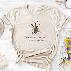 May include: A cream-coloured t-shirt with a brown illustration of a White Pine Weevil insect. The text "WHITE PINE WEEVIL (Pissodes strobi)" is printed beneath the insect graphic. The shirt is folded, with a casual, relaxed fit.