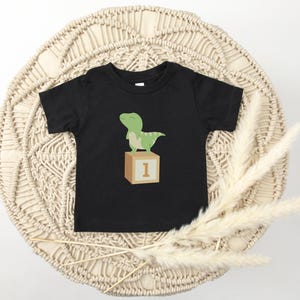 Boys Dinosaur First birthday Tee 1st birthday Outfit T-Rex birthday Girl shirt Dino Birthday Theme  Birthday Party Shirt Smash Cake Shirt