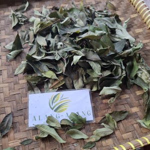 Daun Kapuk Randu ( Ceiba pentandra ) Kapok Tree Dried Leaves