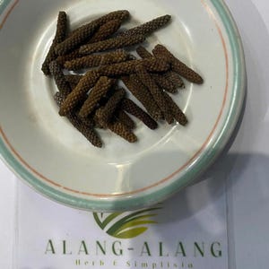 Piper Retrofractum (Cabai Jawa) Javanesisk långpeppar torkad