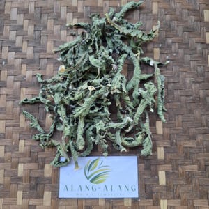 May include: Dried green leaves, possibly herbs, are scattered on a woven brown surface. A white rectangular sign with the text "ALANG-ALANG Herb & Simplistic" and a green and yellow logo is at the bottom. The leaves have a crinkled texture.