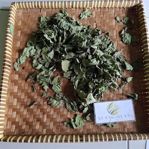 Daun Tembelekan (Lantana Camara) Shrub Verbena Dried Leaves