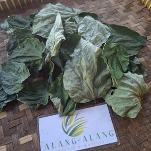 Daun Sirih Tanah ( Piper Sarmentosum ) Wild Betel Dried Leaves
