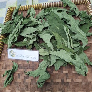 Daun Pepaya (Carica Papaya) Dried Leaves