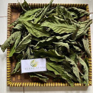 Daun Srikaya (Annona squamosa) Sugar apple Dried Leaves