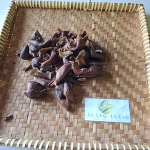 Kulit Salak (Salacca zalacca) Snake Fruit Dried Peel