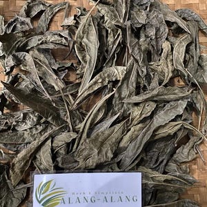 Daun Maja Mojo ( Aegle Marmelos ) Bael Dried Leaves