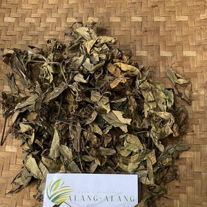 Daun Prasman (Ayapana triplinervis) Dried Leaves
