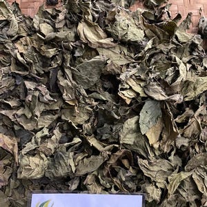Balakacida (Chromolaena odorata) Dried Leaves