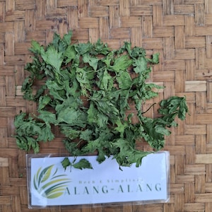 Daun Seledri (Apium graveolens ) Celery Dried Leaves
