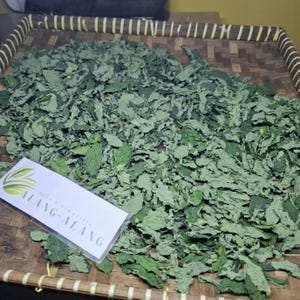 Daun Katuk - Breynia Androgyna Dried Leaves