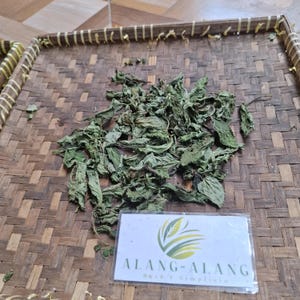 Daun Pecut Kuda (MaStachytarpheta jamaicensis) Blue Porterweed Dried Leaves