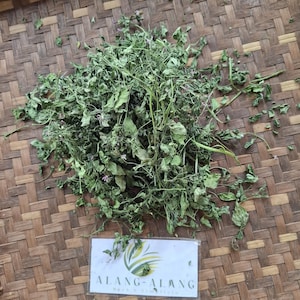 Puede incluir: Un montón de hierbas verdes secas, posiblemente para uso culinario o medicinal, se encuentra sobre una superficie de bambú tejido. Una pequeña etiqueta blanca con el texto "ALANG-ALANG Herb & Simplicia".
