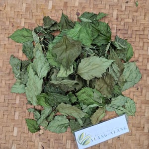 Daun Bunga Sepatu (hibiscus rosa-sinensis) Dried Leaves