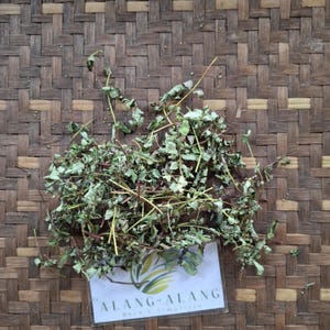 May include: Dried green herbs with reddish stems are scattered on a woven brown surface. A white rectangular card with the text "ALANG-ALANG Herb & Simplicia" is visible in the lower right corner. The herbs appear to be a natural product.