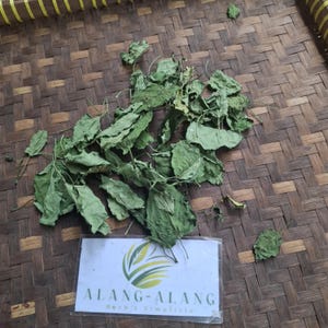 Puede incluir: Hojas verdes secas, posiblemente hierbas, dispersas sobre una superficie marrón tejida. Una pequeña bolsa de plástico transparente con el texto "ALANG-ALANG Herb & Simplisio" es visible. Las hojas tienen una apariencia texturizada.