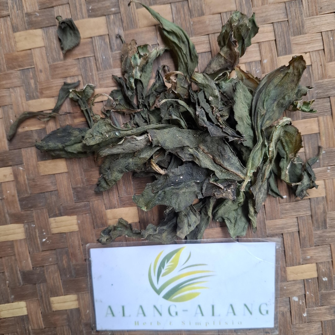 Ginseng Jawa (talinum Paniculatum) Fameflower Dried Leaves - Etsy