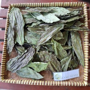 Senggugu (Rotheca serrata) Blue Fountain Bush Dried Leaves