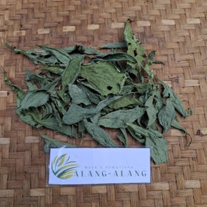 Daun Sintrong (Crassocephalum crepidioides) Thickhead Dried Leaves