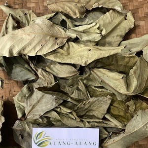 Daun Bungur (Lagerstroemia speciosa) Dried Leaves