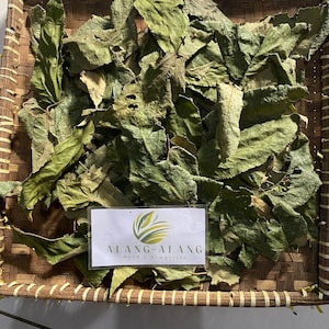 Daun Jati Belanda (Guazuma ulmifolia) West Indian elm Dried Leaves