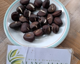 Biji Salak (Salacca zalacca) Schlangenfrucht getrocknete Schale
