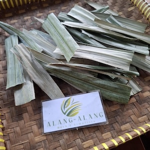 Daun Salak( (Salacca zalacca) snakefruit Dried Leaves