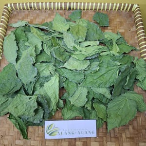 Daun Murbei (Morus) Mulberry  Dried Leaves