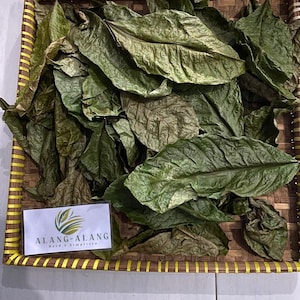 Daun Kopi -  Dried Coffee Leaves
