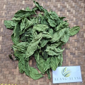 Daun Ceguk (Combretum indicum) Rangoon creeper Dried Leaves