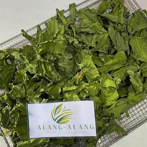 Daun Genjer (Limnocharis Flava) Yellow Velvetleaf Dried Leaves