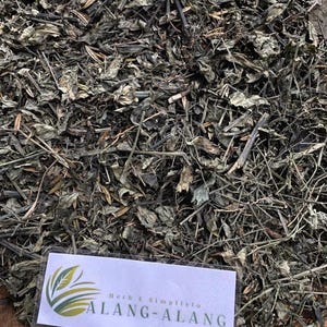 Sambiloto (Andrographis Paniculata) Green Chiretta Dried