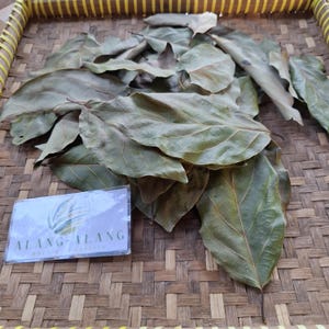 May include: Dried, large, green leaves with prominent veins are arranged on a woven tray. A small card with the text "ALANG-ALANG Herb & Papirus" is visible. The leaves have a natural, organic appearance.