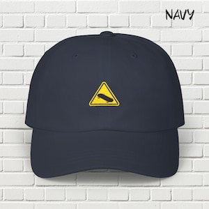 Embroidered Skater Classic Dad Cap, Skateboarder Gift, Skateboarding Hat, Skating Apparel, Urban Wear