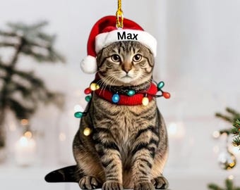 Personalized Tabby Cat Ornament, Tabby Cat Christmas Ornament Gift, Cat Ornament, Gift For Pet Lovers, Cat Christmas Gift, Cat Mom Dad Gift