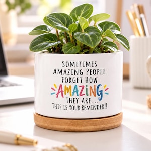 May include: A white cylindrical ceramic planter with a bamboo saucer base containing a green leafy plant. The front of the planter features black text that reads: SOMETIMES AMAZING PEOPLE FORGET HOW AMAZING THEY ARE.... THIS IS YOUR REMINDER!!