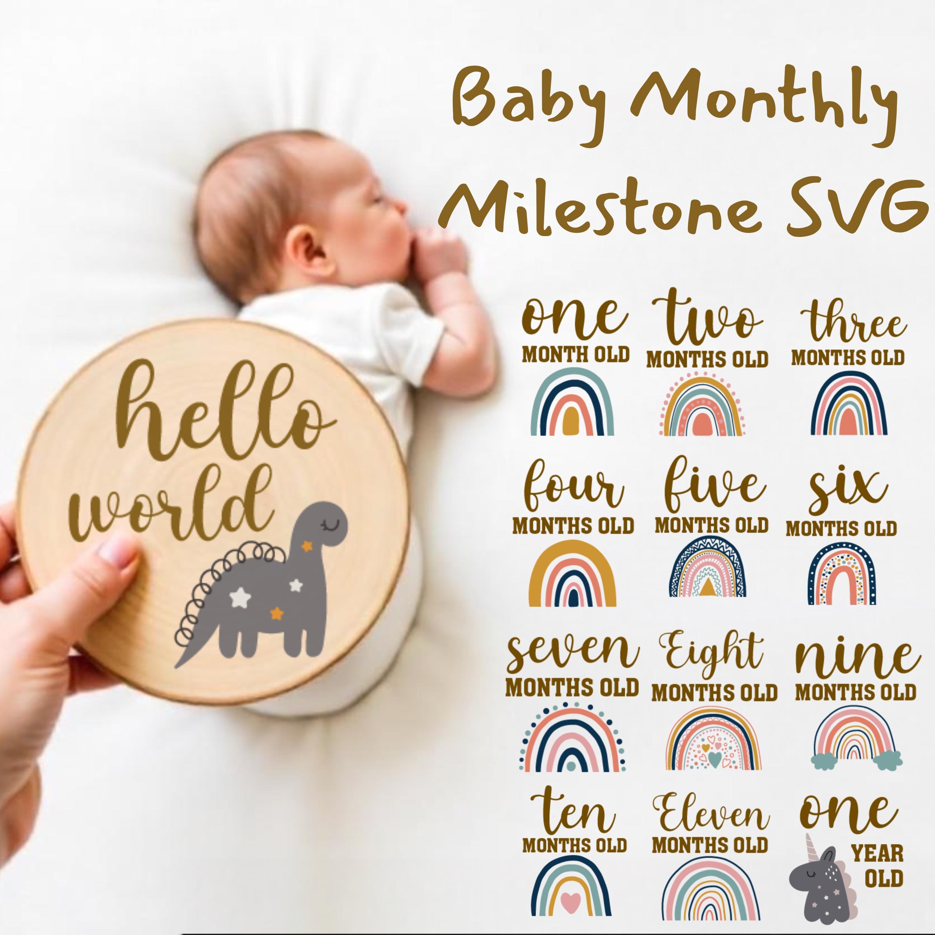 Baby Milestone SVG Bundle: Monthly Stats, Hello World (digital Download ...
