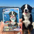 Personalized Pet as Pokemon Card, Turn your pet into a Pokemon, Custom Photo Anime Card, Gift For Him, Gift For Her, Pet Lover Gift Cat Gift product logo