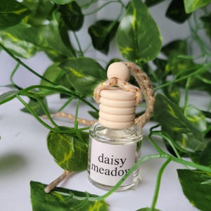 Daisy Meadow / Car Diffuser / Hanging Diffuser / Car Freshener / Air Freshener / Aromatherapy / Car Freshies / Car Fragrance