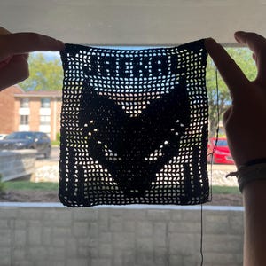 May include: Black crocheted square with a stylized cat face design. The word "ROAR" is crocheted across the top. The square is held up by two hands, with a window and buildings in the background.