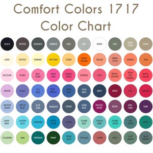 Comfort Colors Miranda Priestly Shirt, The Devil Wears Prada Tee Shirt, Fashion Boss Lady Graphic Tee, Gift For Women and Man Unisex T-Shirt image 5