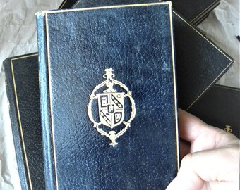 Antique 'The Pirate' Book by Walter Scott, 1904 Leatherbound Edition, A Sensible Good Reading Book