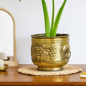 May include: A large-leafed plant in a decorative brass planter with a grape and lion design. The planter sits on a woven mat atop a wooden desk, with a small mirror and a yellow notebook nearby. The plant has large, green leaves.