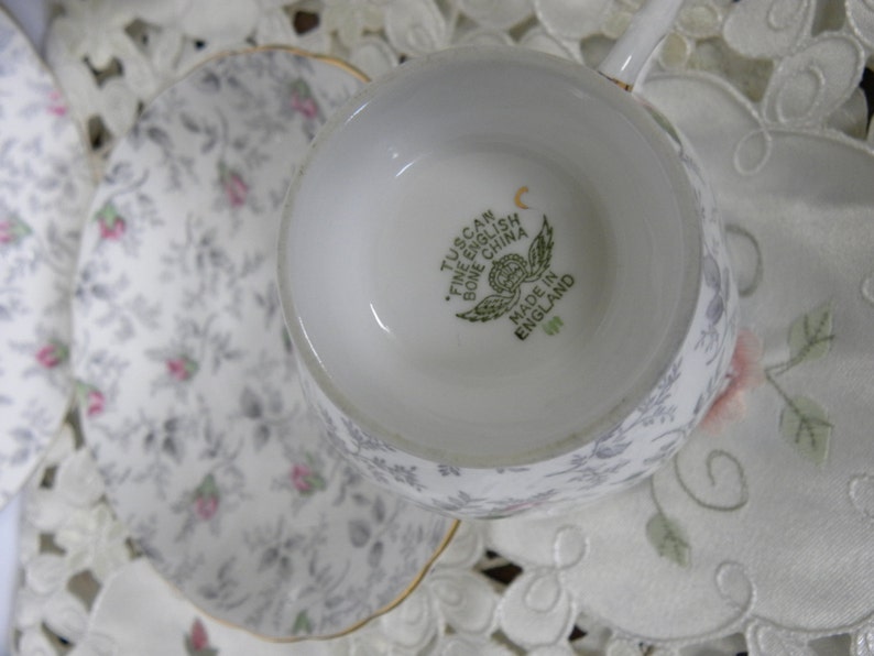 Tuscan Fine English Bone China Tea Cup & Saucer 3 Trio Set Etsy