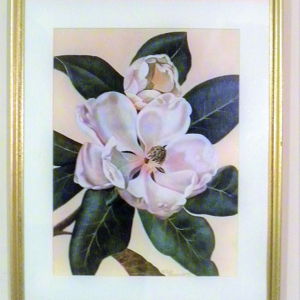 Bombay Botanical Print Afternoon Magnolia Floral Art Print in Gold Gilt Wall Picture Framed by artist Waltraud Fuchs von Schwarzbek 21 x 17